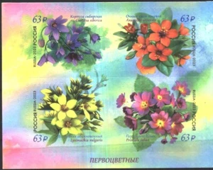 Mint stamps Flora Flowers Primroses 2023 from Russia avdpz - Picture 1 of 1