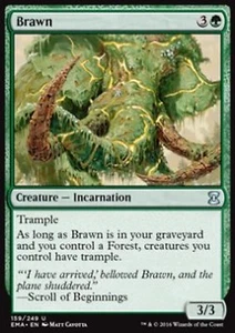 MRM ENGLISH 2x La force - Brawn MTG magic EMA - Picture 1 of 1