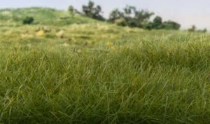 Woodland Scenic Static Grass 42g bags Assorted - Picture 1 of 19