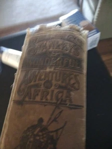 1890 H.M. Stanley's Wonderful Adventures In Africa Illustrated 1st Edition - Picture 1 of 8