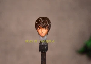 Customized Painted 1/6 Berserk Casca Head Actionfigur (ohne Plattform) - Bild 1 von 6