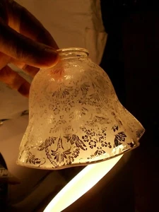 Vintage Floral Transfer Frosted pattern Glass Electric Lamp Shade c1920s - Picture 1 of 5