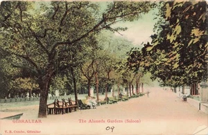 The Alameda Gardens (Saloon) Gibilterra PC vintage mai usato - Foto 1 di 2