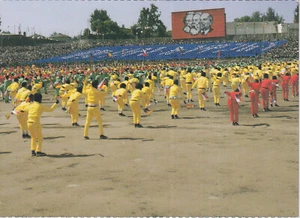Cartolina d'epoca - Revolution Day Parade - Foto 1 di 1