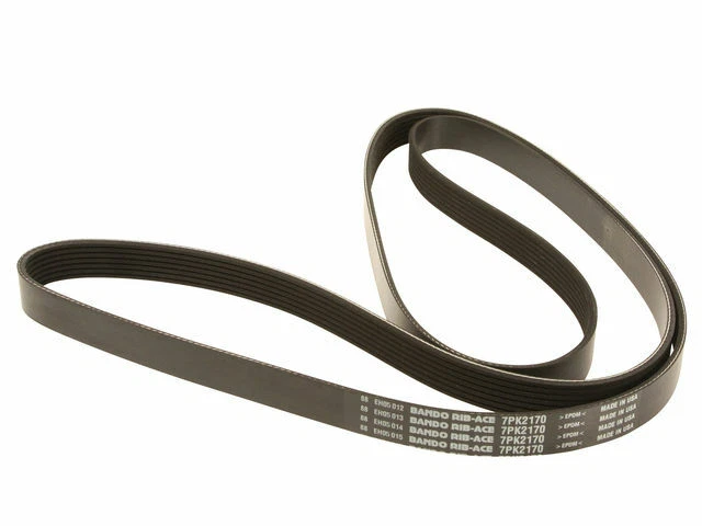 Cinturón multi costilla para Ford Crown Victoria 1992 Y648ZX Foto 1 de 1