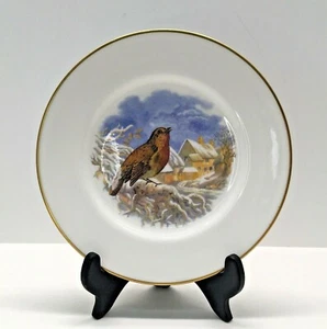 Coalport Bone China Bird Plate - British Birds "The Robin" - 8"  - Picture 1 of 4
