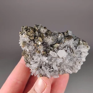 🔥Quarz Pyrit Stufe ,Huanzala Mine Peru🔥 - Bild 1 von 6