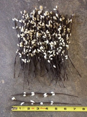 Set/50 Primitive 7" 7 inch IVORY Pip Berry Garland Picks Wedding Craft Pips Farm - Image 1 of 4