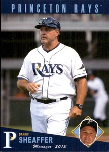 Danny Sheaffer 2013 Grandstand Princeton Rays RC Card Princeton Rays - Picture 1 of 1