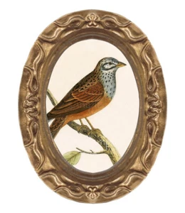 Cuadro artístico miniatura de pájaro banderín estriado para casa de muñecas 8720 - Imagen 1 de 1