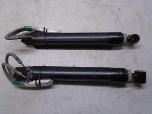 Z4a Mercruiser Alpha 1 Gen 2 Trim Cylinder Ram Set # 815954-1 and 815935-1 - Bild 1 von 7