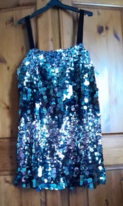 SILVER SEQUIN MINI DRESS 👗VELVETEEN STRAPS** SIZE L 😍DRESSED TO KILL🥳 ZARA - Picture 1 of 16