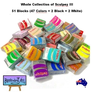 Sculpey III Oven Bake Polymer Clay - Every Color + Extra B & W (60 Blocks) - Picture 1 of 1