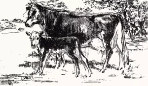 LeRoy Neiman Bovine Family Signed Limited Edition Etching - Picture 1 of 4