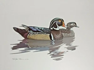 Wildlife Artist Richard Sloan Kunstdruck signiert 1981 Blauschwanz Enten 10X12 - Bild 1 von 5