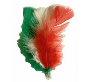 Alpini feather for hats - Picture 1 of 2