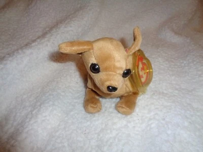 TY Beanie Baby Tiny The Chihuahua - Image 1 of 4