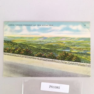 Newmarket Gap Skyline Drive Virginia 1940s Linen Postcard Shenandoah Park - Picture 1 of 2