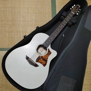 2017 FUJIGEN FGN AG1E Chitarra elettroacustica tutta solida L.R. Baggs Anthem SL - Foto 1 di 10