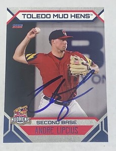 Andre Lipcius SIGNED 2023 Toledo Mud Hens Team Card RC Auto Detroit Tigers