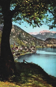 Postal vintage Suiza Vitznau Vierwaldstättersee B146 - Imagen 1 de 2