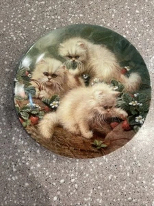 STRAWBERRIES AND CREAM: CREAM PERSIANS Plate Amy Brackenbury's Cat Tales - Picture 1 of 8