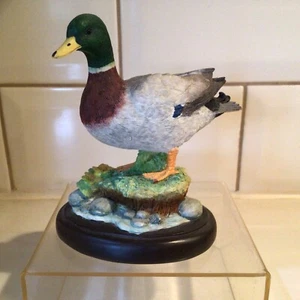 Border Fine Arts - Vogel - Mallard - A2385 - 2012. - Bild 1 von 6