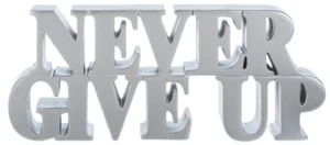 Ganz "Happy Thoughts" Resin Desktop Message Figurine NEVER GIVE UP 6"x 2 1/2" - Picture 1 of 5