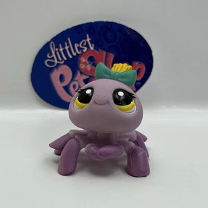 SPIDER #1031 - Littlest Pet Shop - Hasbro LPS - Picture 1 of 4