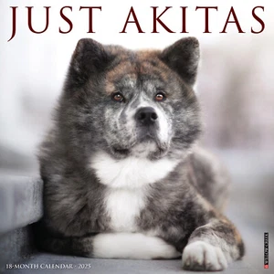 Akitas 2025 calendario da parete 12"" x 12"" (spedizione gratuita) - Foto 1 di 5