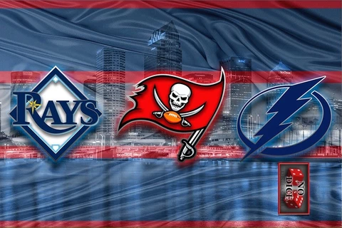 Tampa Sports 24x36in Poster Tampa Bay Buccaneers Lightning Rays Free Shipping Cover
