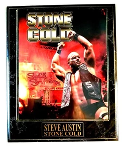 Vintage World Wrestling Stone Cold Steve Austin #1 Plaque WWF WWE - Picture 1 of 4