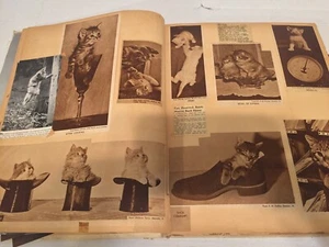 Vintage antike 1940er Jahre Katzenliebhaber Sammelalbum niedliche Tierausschnitte - Bild 1 von 11