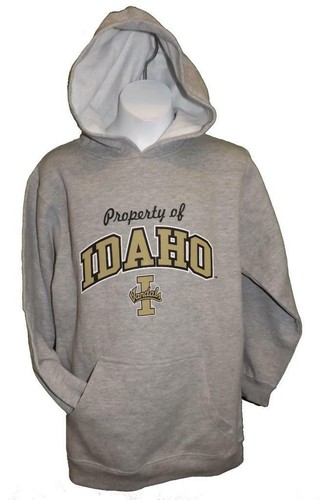 VETEMENTS New Idaho Vandals Youth Sizes S M L XL Gray Hoodie