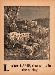 Antique ABC Letter L Print c1900 Lamb Alphabet Print Sheep Illustration 5190k - Picture 1 of 1
