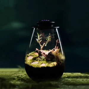 Fern Moss Micro-Landscape Grow Light with Timer Plant Grow Light (Black L) - Picture 1 of 9