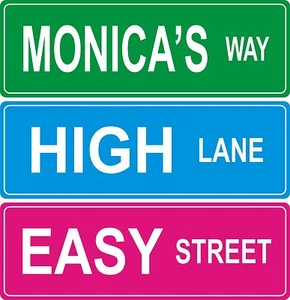 Custom Street Sign - 4x12 inches - Picture 1 of 2