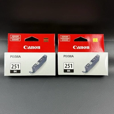 Картридж чернильный Canon 251 BK черный подлинный от оригинального производителя принтер Pixma запечатанный упаковка 2 шт. - Изображение 1 из 4
