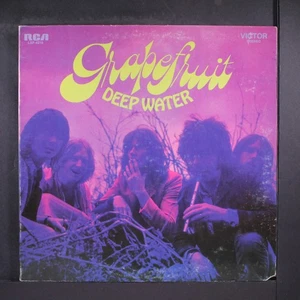 GRAPEFRUIT: deep water RCA Victor 12" LP 33 RPM - Picture 1 of 2