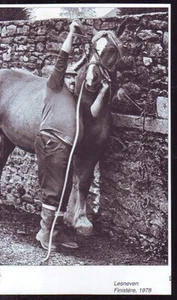 2011 -- A LESNEVEN FINISTERE EN 1978 Y929 - Bild 1 von 1