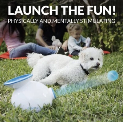 iFetch (Small Interactive Ball Thrower for Dogs- Mini Tennis Balls) Excellent!! - Image 1 of 4