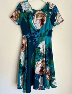 Abito floreale Anthropologie Corey Lynn Calter blu taglia 2 - Foto 1 di 8