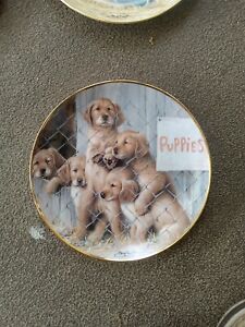 New ListingAdopt A Puppy Franklin Mint 24k Gold Bordered Porcelain Plate Limited Edition