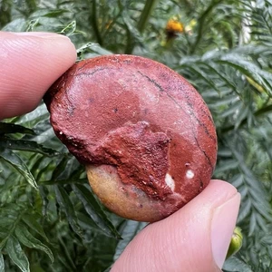 9 RG AMAZING whole Permian Ammonite Fossil calcite on matrix Mollusca Timor - Picture 1 of 13