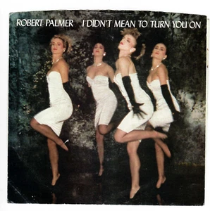 45RPM, ROBERT PALMER ' I DIDN'T MEAN TO TURN YOU ON ' EXCELLENT ' ROCK - Foto 1 di 4