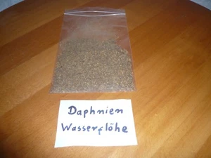 80 ml Daphnien Wasserflöhe Fischfutter , Futter für Reptilien   (16,00€/L) - Bild 1 von 1