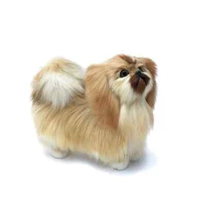 Realistic Pekingese Plush Dog Model Puppy Pet Toy Animal Doll Prop Decor Gift - Picture 1 of 5