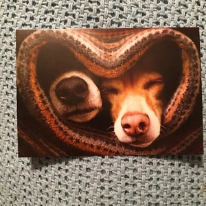 Welpenliebe Postkarte, gedruckt von Humane Society of Sedona, AZ - Haustierbildkarte - Bild 1 von 4