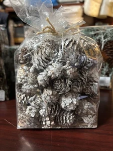 NEW Pottery Barn Mini Frosted Snowy Pinecones Vase Filler Holiday Christmas NIP - Picture 1 of 6