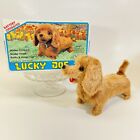 Vintage LUCKY DOG Battery Operated Wiener Dog Toy  NO. 838  W/ BOX Works